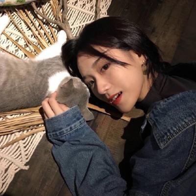 本田大辅（饰 儿玉） - 少儿动画片免费在线观看 - 小程序视频
